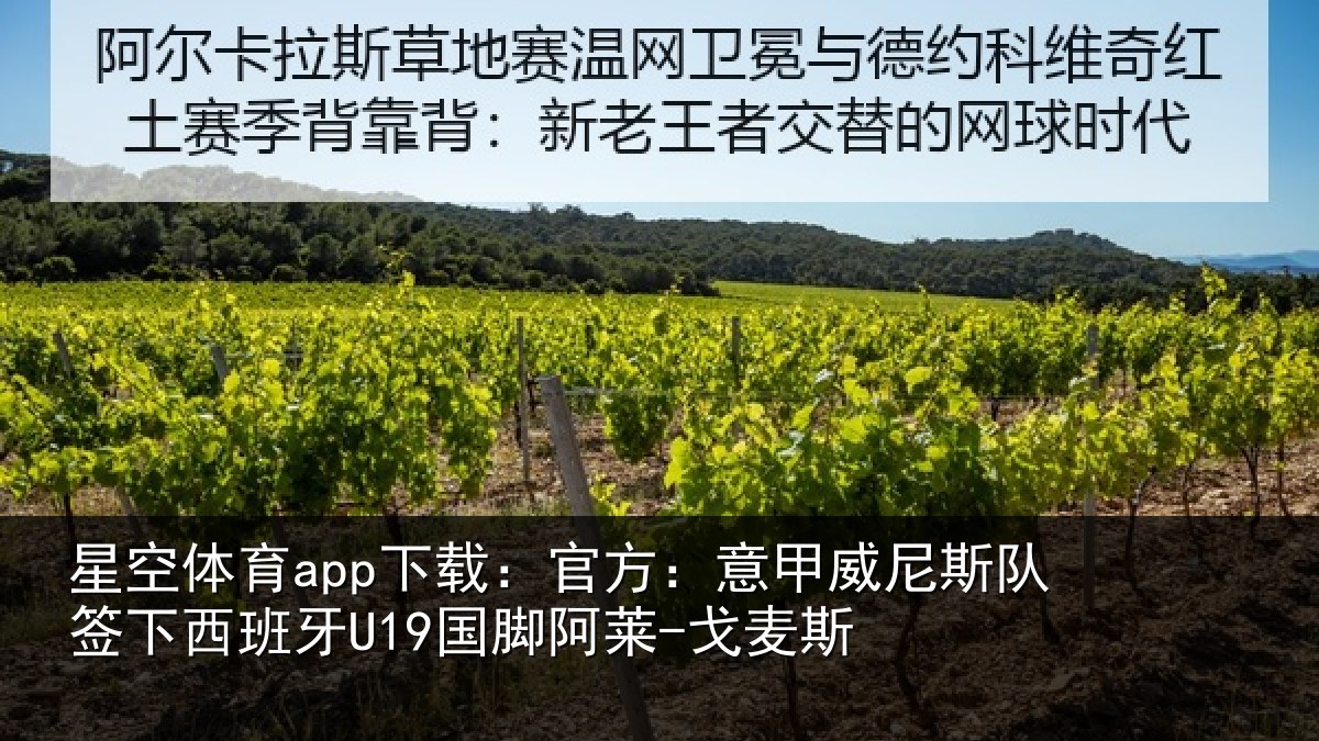 星空体育app下载:官方:意甲威尼斯队签下西班牙U19国脚阿莱-戈麦斯